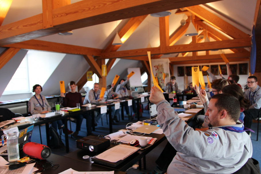 Abstimmung bei der Landesversammlung