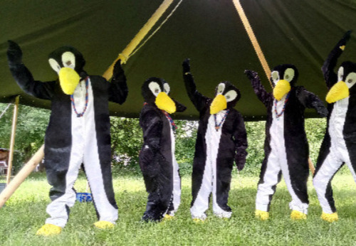 Pinguine auf dem Landeslager